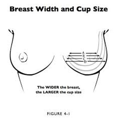 Breast Width and Cup Size